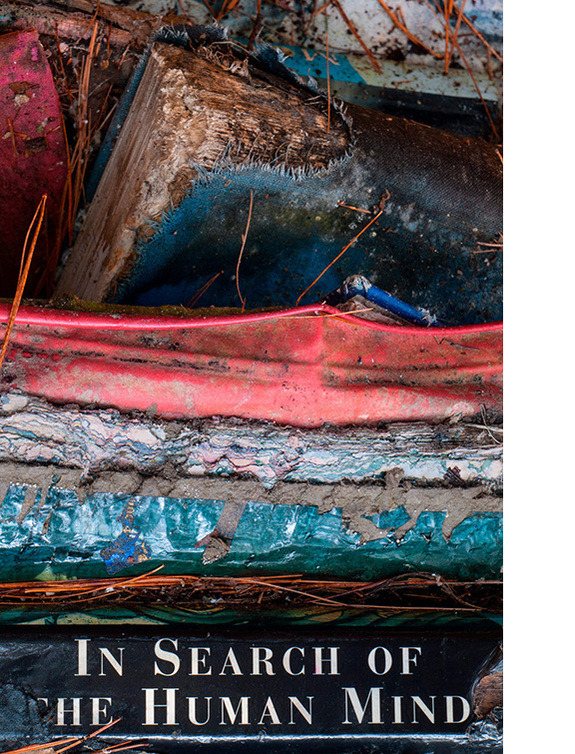 Multicoloured books in various stages of decomposition