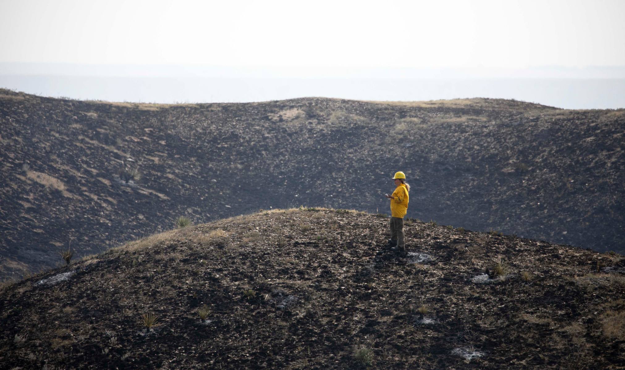 A firefighter looks out over scorched land Wednesday, Aug. 18, 2021, in Wasta, S.D.