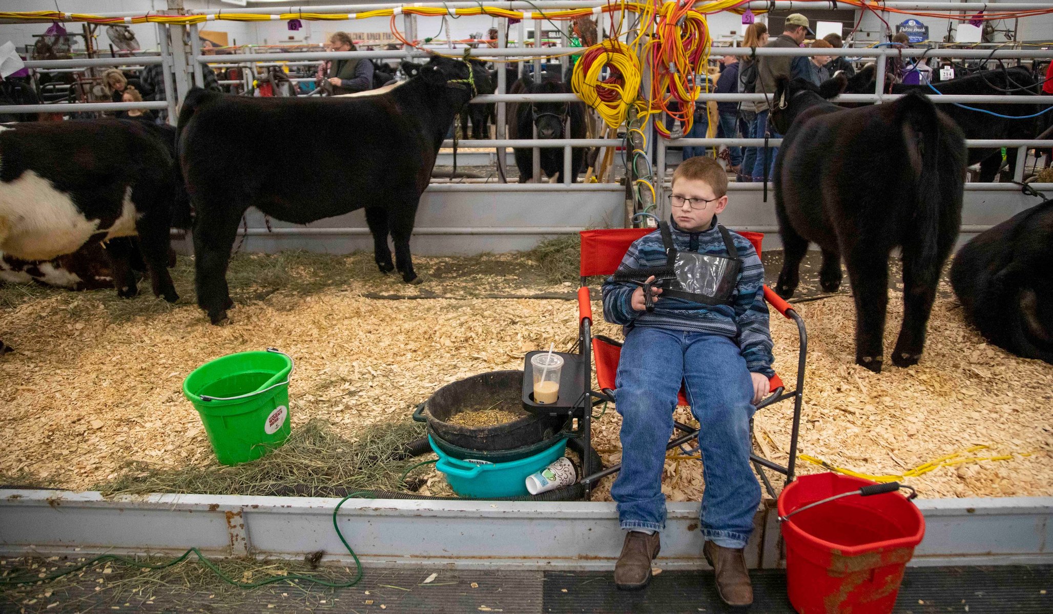 Joe Lambert, 11, of Saturn, Neb. rests near cattle before competing at the Show Rite Youth Beef Show on Friday, Jan. 29, 2021, at the Rushmore Plaza Civic Center in Rapid City, S.D.