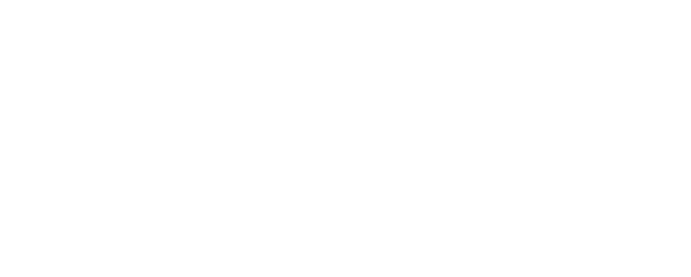 Ronnie Singh's Portfolio