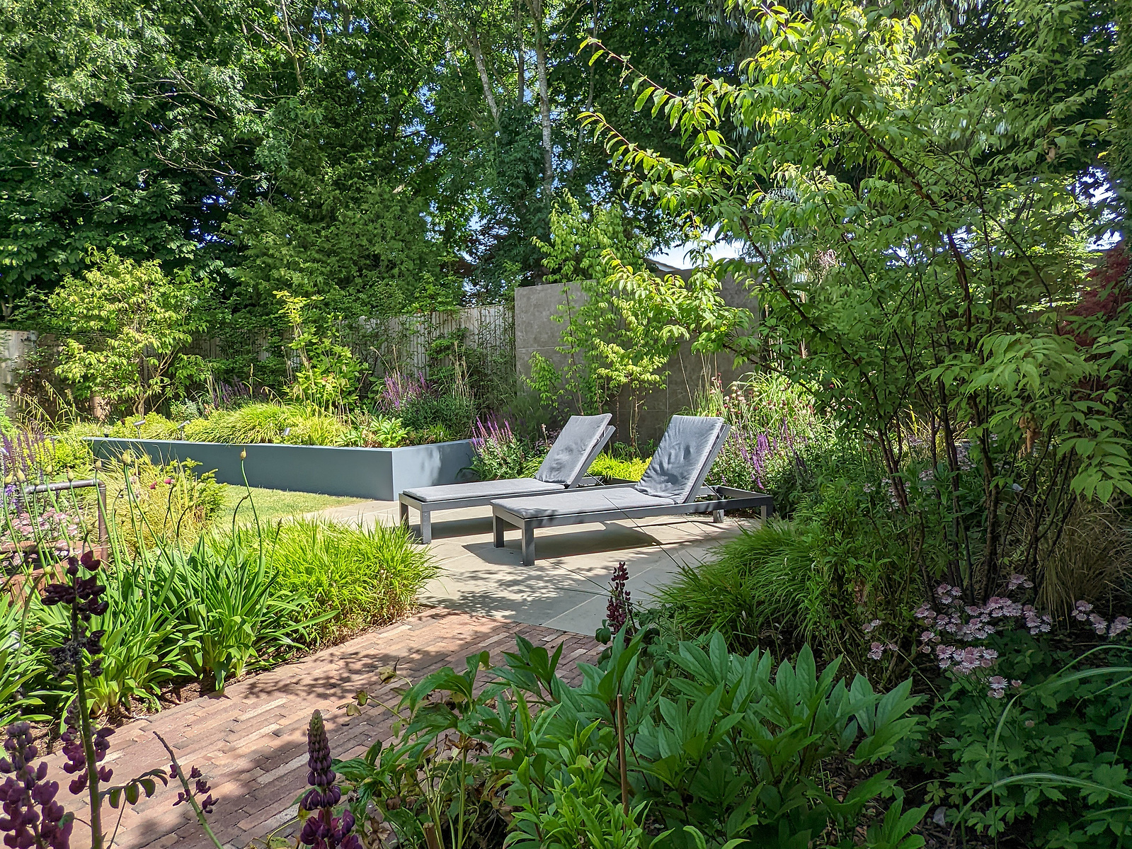 St.Albans Garden Design - Daniel Shea's Portfolio