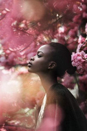 A black woman with a short ponytail surrounded herself with cheery blossom tress. 