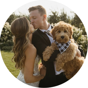Newly married couple is holding a labradoodle. The labradoodle puppy is wearing a scarf.