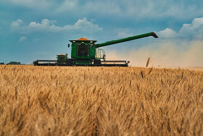 Agriculture is one of the main industries in the prairies. Maintained a sharp focus while keeping image in rule of thirds allowing adequate space from the borders. 