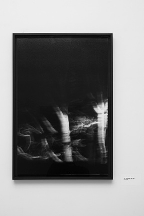 12. Through The Veil 