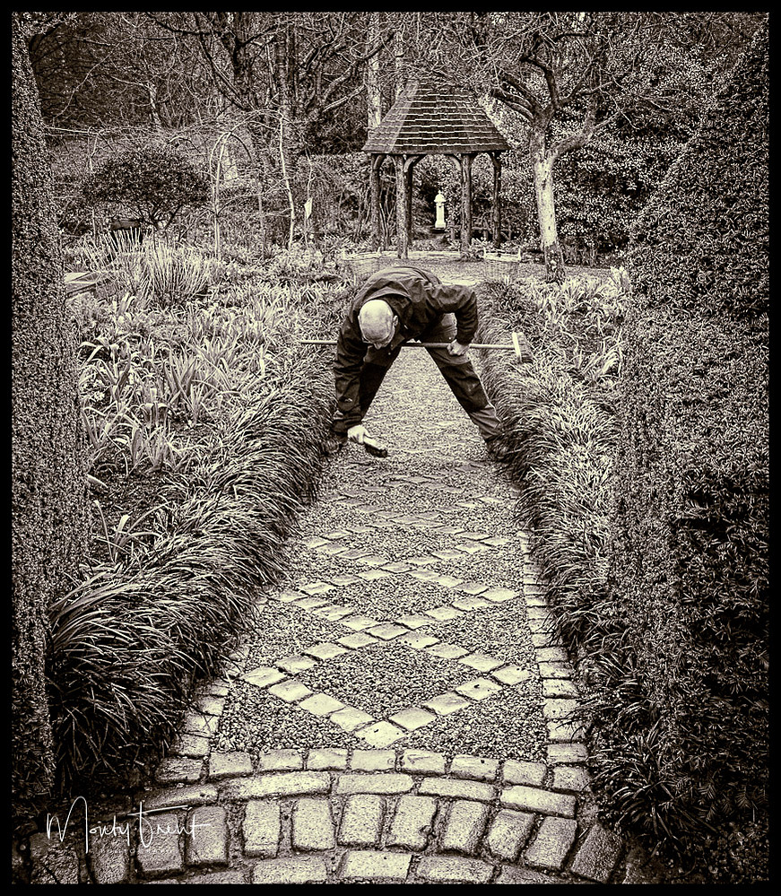 Adam Bowley, head gardener at York Gate Garden makes his first task, each day, manicuring the setts on the paths