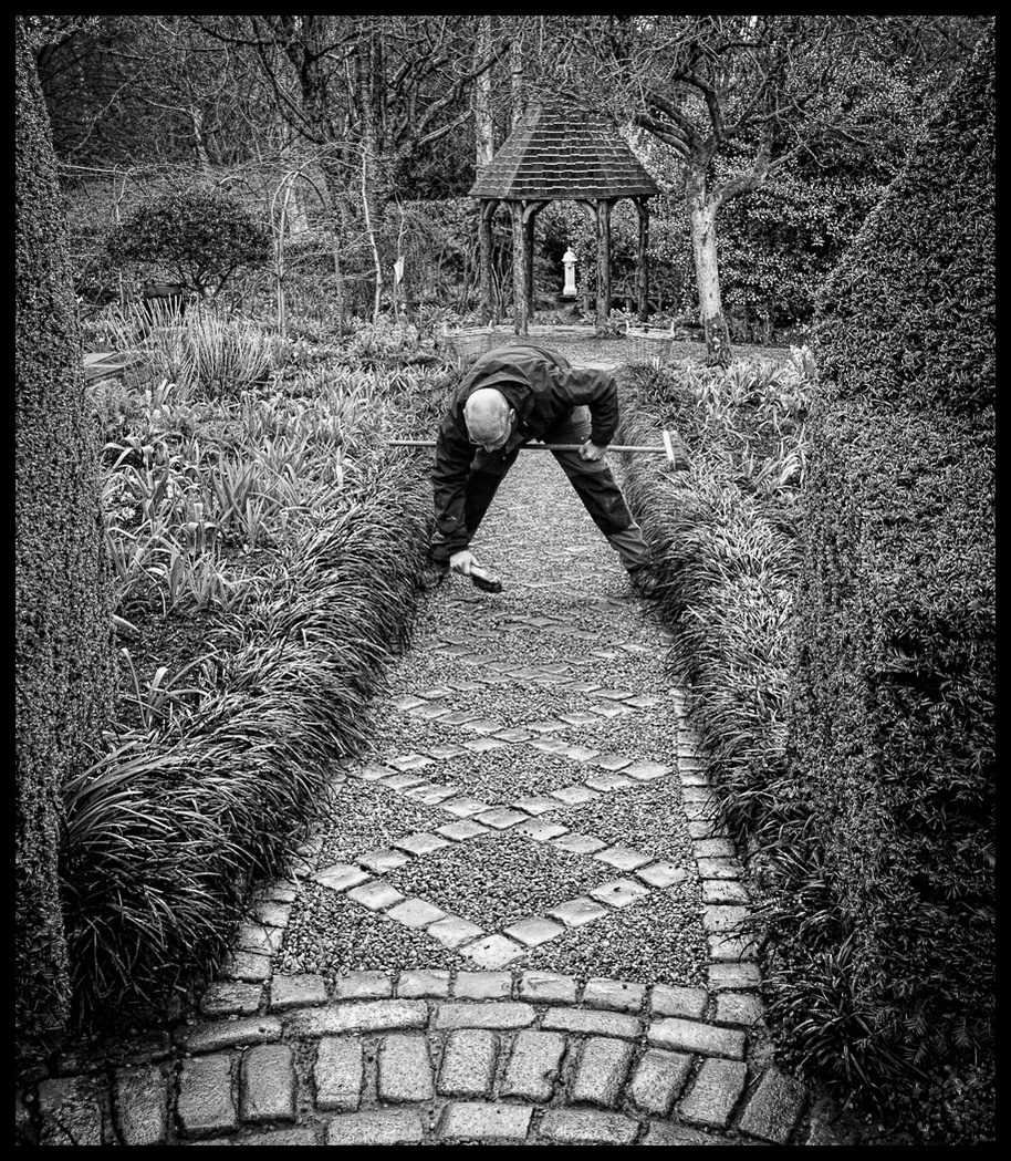 Adam Bowley, head gardener at York Gate Garden makes his first task, each day, manicuring the setts on the paths