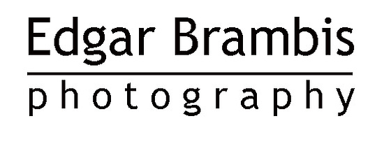 Edgar Brambis