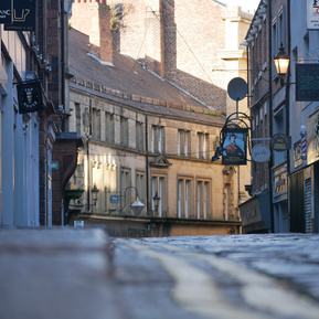 Portrait, street, pet, Business & freelance Photography
Wellbeing walk & talk Photography, Workshops
