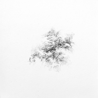 Dessin, fusain, nature, errance, divagation graphique, fragment, paréidolie, organique, relief, flux, nuage, onde, reflet, vague, paysage, drawing, charcoal, wave, landscape, cloud