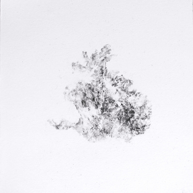 Dessin, fusain, nature, errance, divagation graphique, fragment, paréidolie, végétal, organique, relief,  paysage, drawing, charcoal, landscape, segment, plant, wood