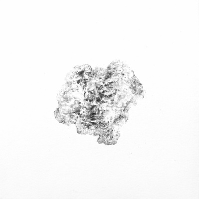 Dessin, fusain, nature, errance, divagation graphique, fragment, paréidolie, végétal, organique, relief,  paysage, drawing, charcoal, landscape, segment, plant, wood