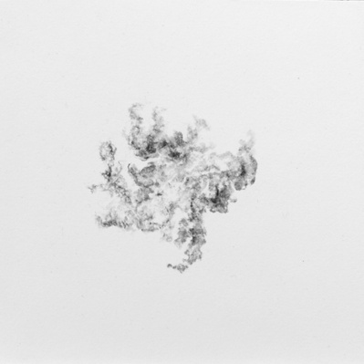 Dessin, fusain, nature, errance, divagation graphique, fragment, paréidolie, végétal, lichen, organique, relief,  paysage, fumée, nuage, drawing, charcoal, landscape, segment, plant, smoke, cloud