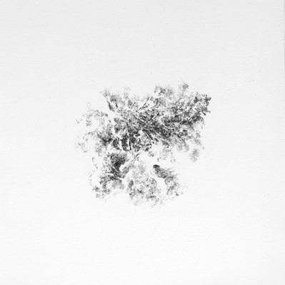 Dessin, fusain, nature, errance, divagation graphique, fragment, paréidolie, végétal, lichen, organique, relief,  paysage, drawing, charcoal, landscape, segment, plant, wood