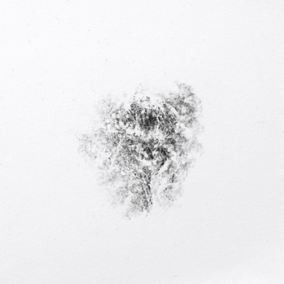 Dessin, fusain, nature, errance, divagation graphique, fragment, paréidolie, organique, relief, roche, paysage, disparition, drawing, charcoal, rock, landscape