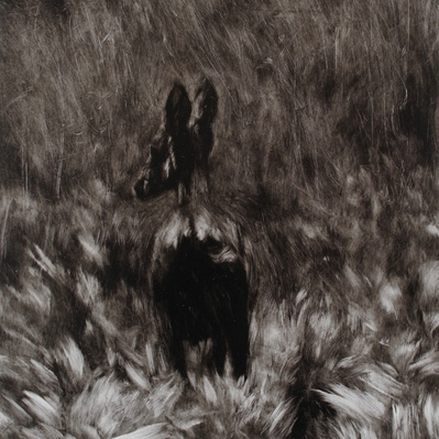 Simon Piveteau - Paysage sombre peint en noir et blanc avec un chevreuil de dos dans les herbes hautes. Black and white painting of a deer in high plants. Peinture à l'huile sur polyester transparent. Oil painting on see-through polyester.
