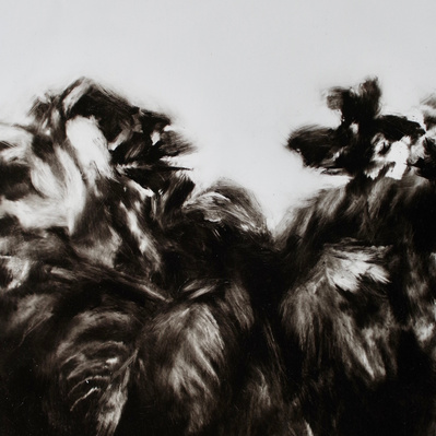 Simon Piveteau - Paysage peint en noir et blanc avec de la végétation en clair-obscur. Black and white landscape painting with plants and chiaroscuro. Peinture à l'huile sur polyester transparent. Oil painting on see-through polyester.