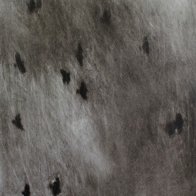 Simon Piveteau - Vol d'oiseaux peint en noir et blanc avec un effet flou. Blurred birds painting painted in black and white. Peinture à l'huile sur polyester transparent. Oil painting on see-through polyester.
