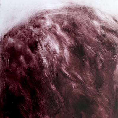 Simon Piveteau - 