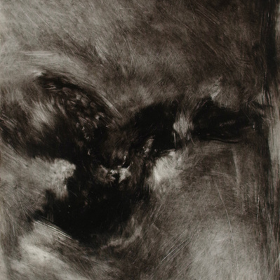 Simon Piveteau - Un oiseau peint en noir et blanc avec un effet flou. Blurred bird painting painted in black and white. Peinture à l'huile sur polyester transparent. Oil painting on see-through polyester.