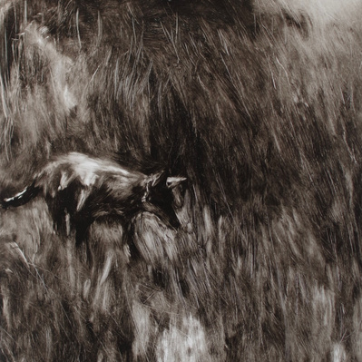 Simon Piveteau - 