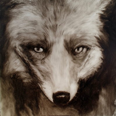 Simon Piveteau - renard, fox