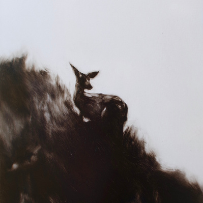 Simon Piveteau - chevreuil dans la pente, deer