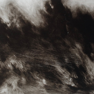 Simon Piveteau - Paysage sombre et flou avec des arbres peint en noir et blanc. Dark blurred landscape painted in black and white with trees. Peinture à l'huile sur polyester transparent. Oil painting on see-through polyester.