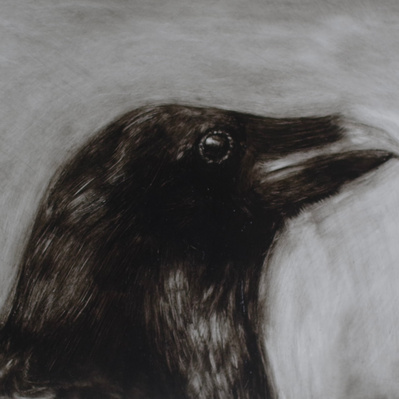Simon Piveteau - corbeau
