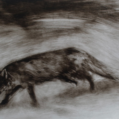 Simon Piveteau - renard, fox