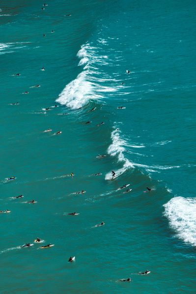 A surfer catches a wave amongst many more paddling out to sea. Taken from above. 