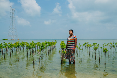A woman stands ankle deep in water proudly next to the mangroves she has planted