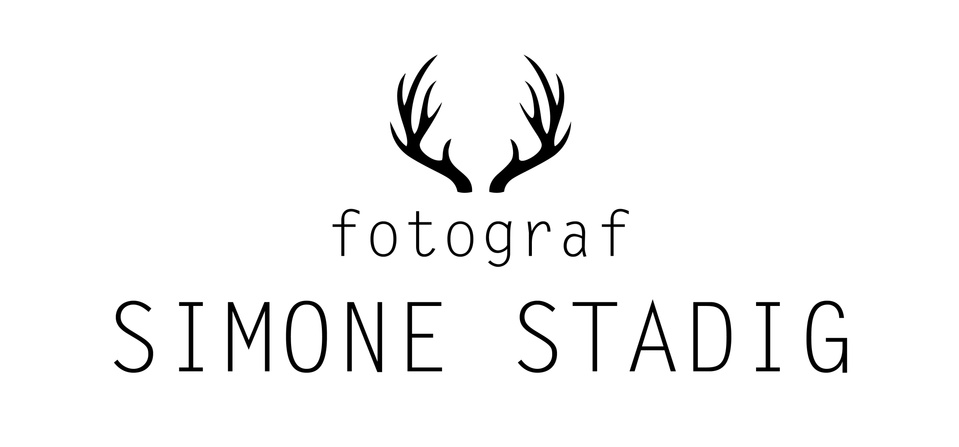 Simone Stadig's Portfolio