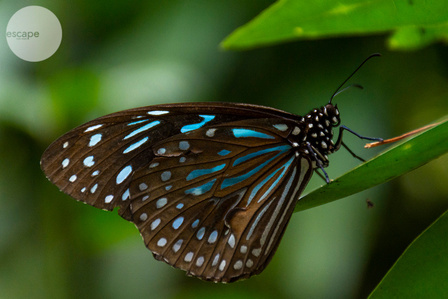 Malaysia