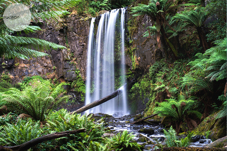 Waterfall Adventures, Victoria, Australia