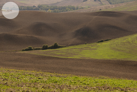 The art print, landscape, gift, for wall, to update your space