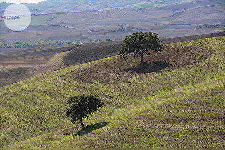 The art print, landscape, gift, for wall, to update your space