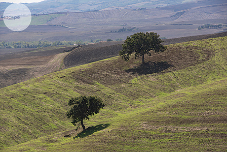 The art print, landscape, gift, for wall, to update your space