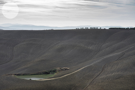 The art print, landscape, gift, for wall, to update your space