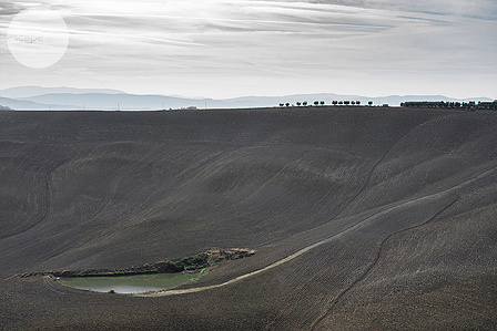 The art print, landscape, gift, for wall, to update your space