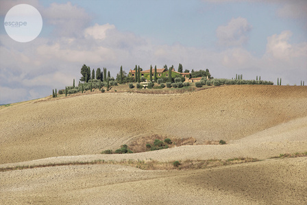 The art print, landscape, gift, for wall, to update your space