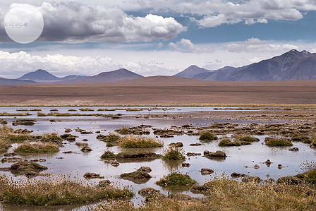 Flamingo of the desert &#x2F; Vado Río Putana, Chile
The art print, landscape, gift, for wall, to update your space