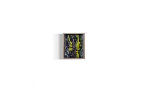 oil on canvas depicts eucalyptus bark shedding, manifestation of healing 