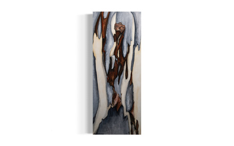 oil on canvas depicts eucalyptus bark shedding, manifestation of healing 