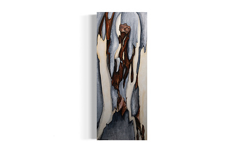 oil on canvas depicts eucalyptus bark shedding, manifestation of healing 