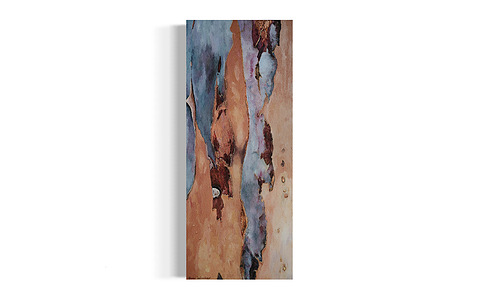 oil on canvas depicts eucalyptus bark shedding, manifestation of healing 