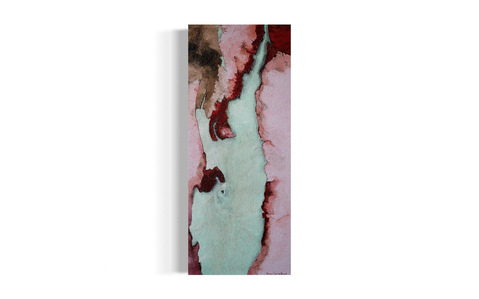 oil on canvas depicts eucalyptus bark shedding, manifestation of healing 