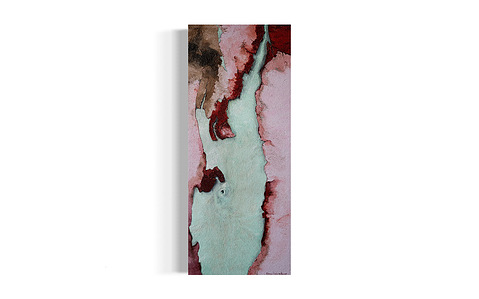 oil on canvas depicts eucalyptus bark shedding, manifestation of healing 
