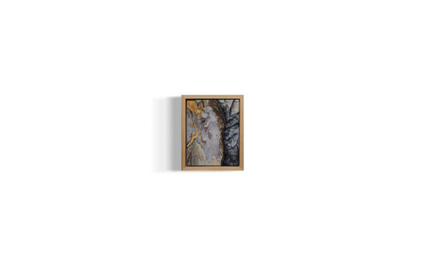 oil on canvas depicts eucalyptus bark shedding, manifestation of healing 