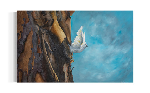 oil on canvas depicts eucalyptus bark shedding, manifestation of healing 